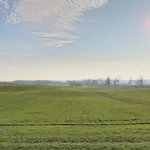 Bauernhof „miedzy Polami” *