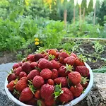 Фермерский дом „miedzy Polami” Zalewo (Ilawa)