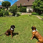 „miedzy Polami” Фермерский дом *