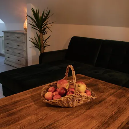 Alojamento de Turismo Rural „miedzy Polami”