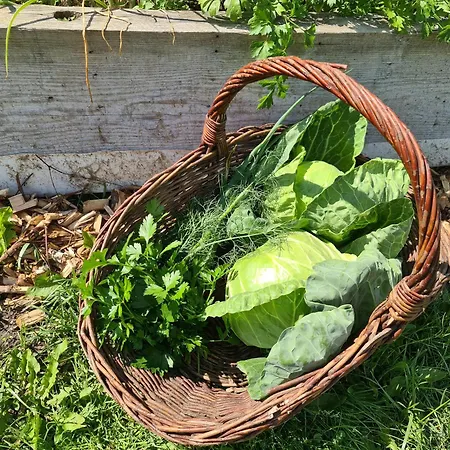 Alojamento de Turismo Rural „miedzy Polami”