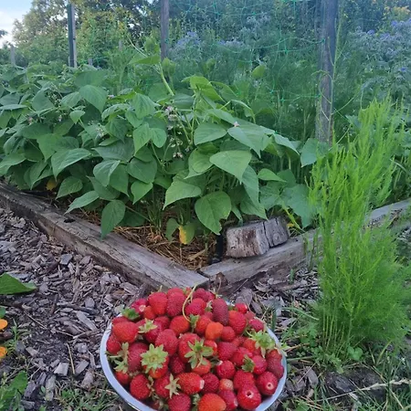 Farm stay „miedzy Polami” Zalewo (Ilawa)