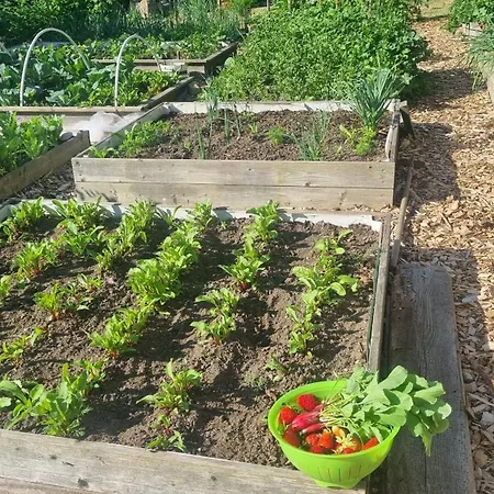 „miedzy Polami” Zalewo (Ilawa)