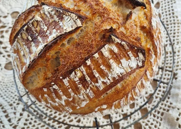 팜스테이 „miedzy Polami” *