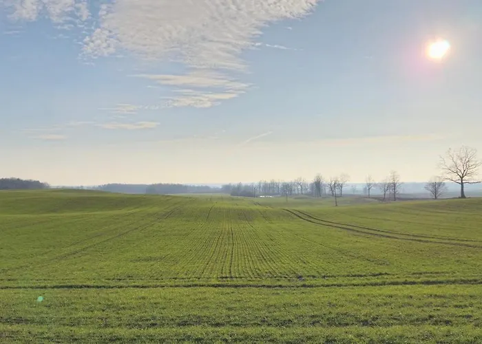 팜스테이 „miedzy Polami” *